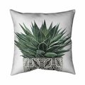 Begin Home Decor 26 x 26 in. Zebra Plant Succulent-Double Sided Print Indoor Pillow 5541-2626-FL339